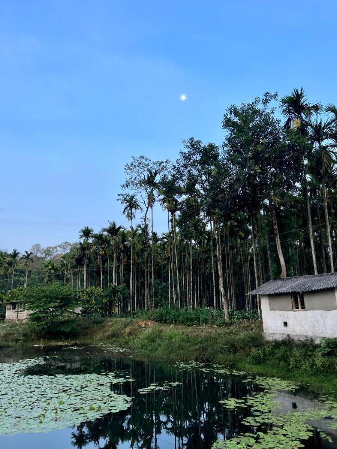 Green Castle Gonikoppal Ngoại thất bức ảnh