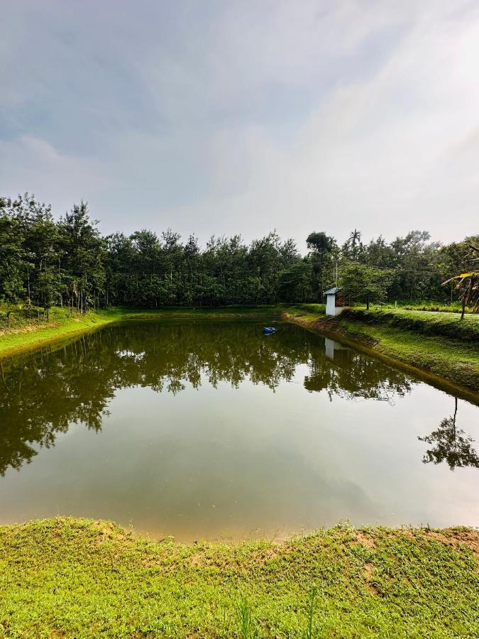 Green Castle Gonikoppal Ngoại thất bức ảnh